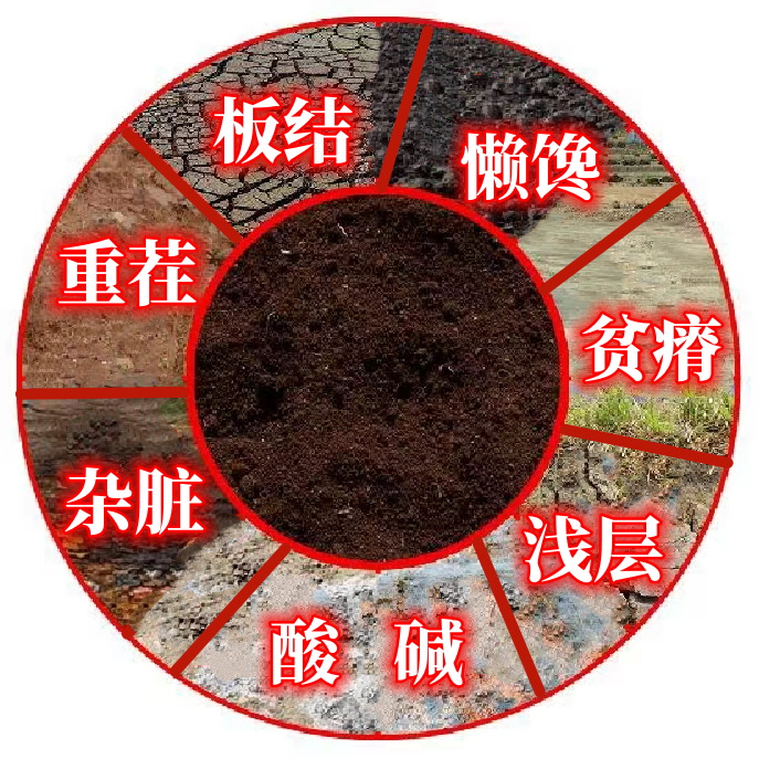 1683088923879999.png